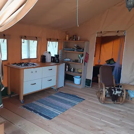 Luxe Safarilodgetent Met Boxspring Bedden