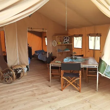 Luxuszelt Luxe Safarilodgetent Met Boxspring Bedden *