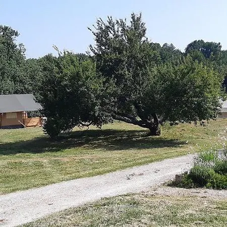 Luxuszelt Luxe Safarilodgetent Met Boxspring Bedden Montcléra