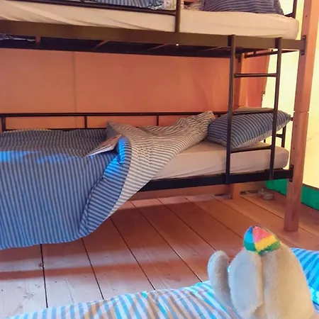 Luxe Safarilodgetent Met Boxspring Bedden Tente de luxe *