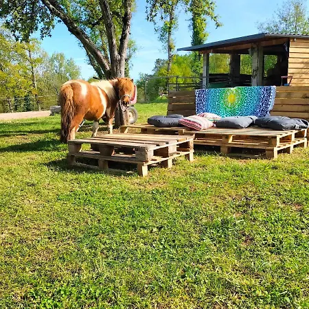 Luxe Safarilodgetent Met Boxspring Bedden