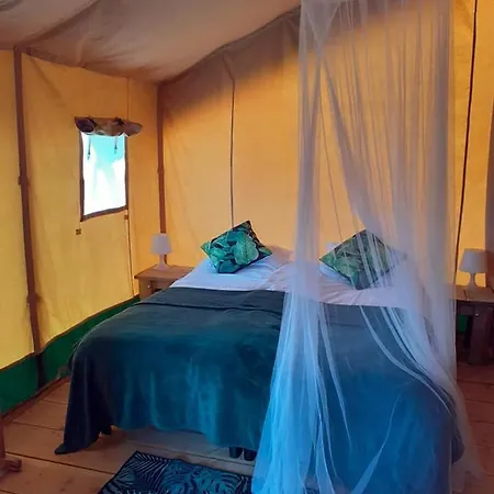 Luxe Safarilodgetent Met Boxspring Bedden Luxury tent Montclera