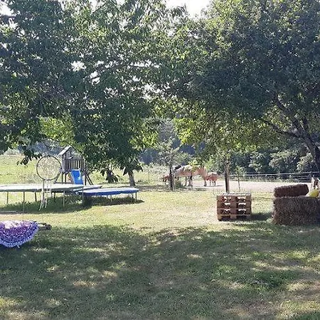 Luxe Safarilodgetent Met Boxspring Bedden