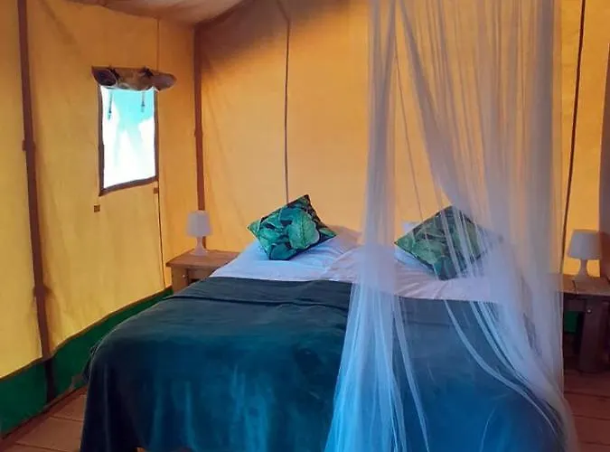 Luxe Safarilodgetent Met Boxspring Bedden Luksustelt Montcléra