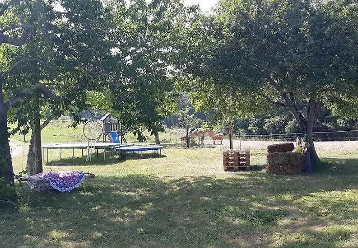 Luxe Safarilodgetent Met Boxspring Bedden